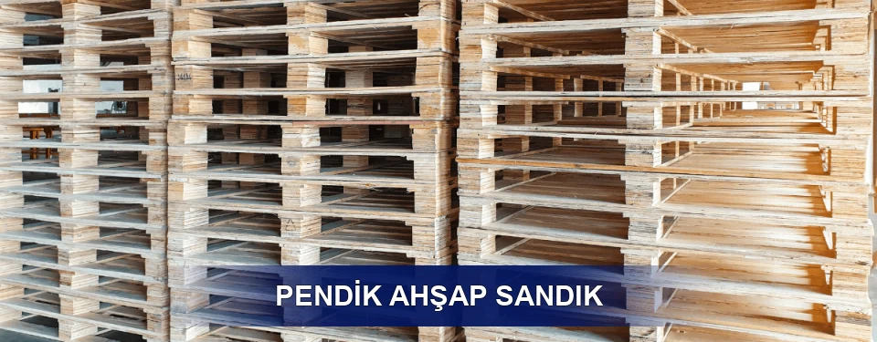 Pendik Ölçü Planı
