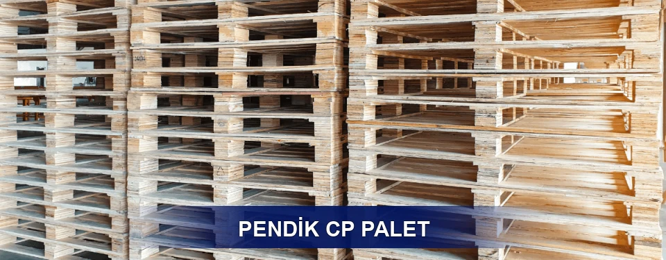 Pendik Standart Tipler