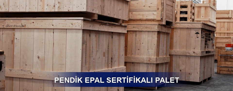 Pendik Fiyatlandırma