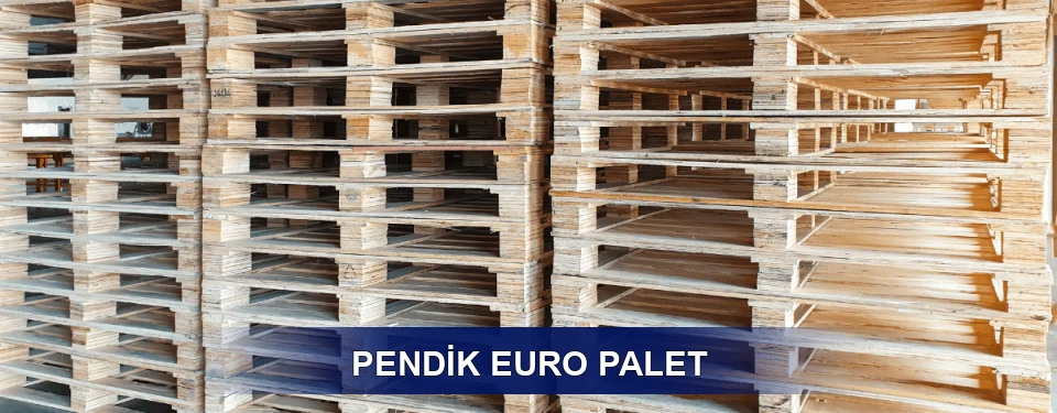 Pendik Depo Kullanımı