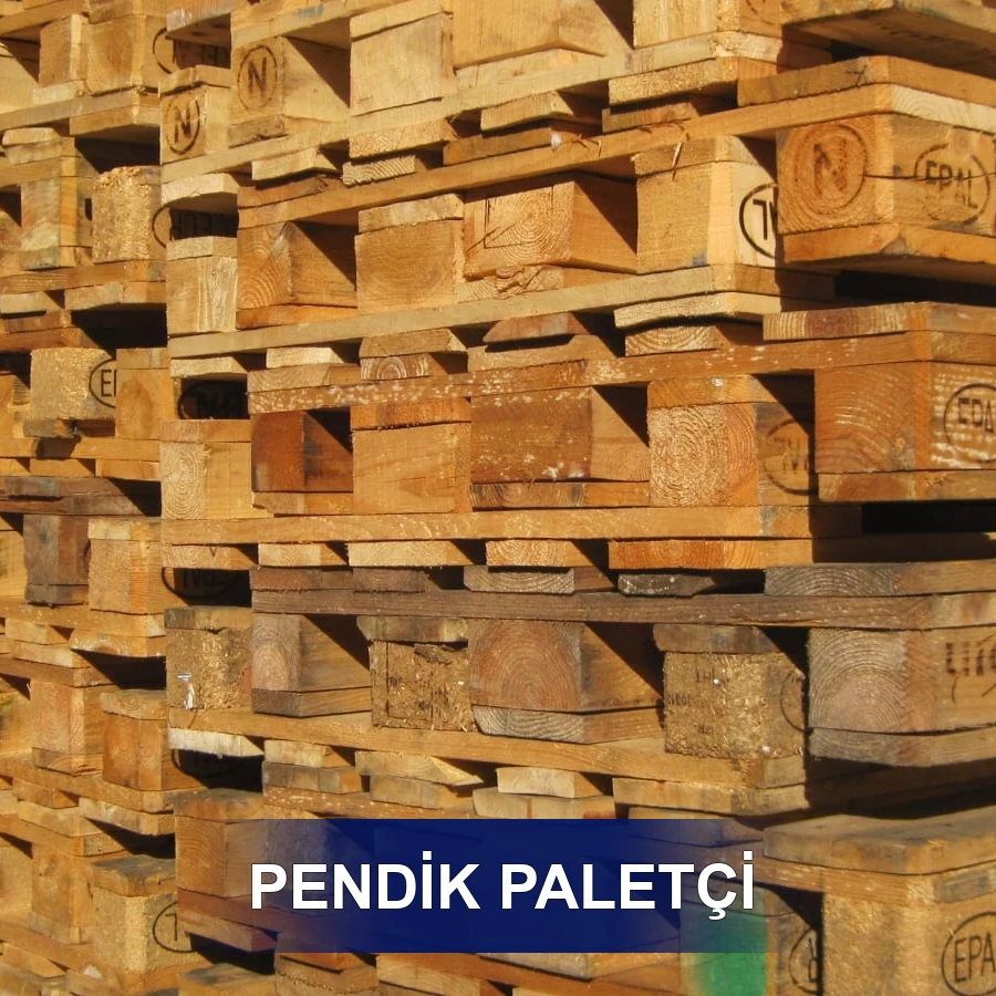Pendik Paletçi