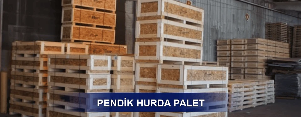 Pendik Sınıflandırma