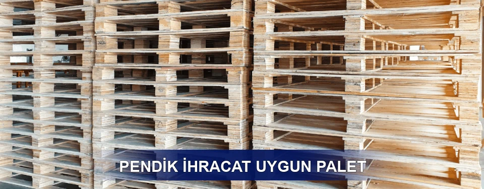Pendik Fiyatlandırma