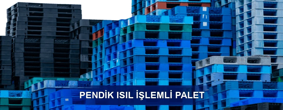 Pendik İşaretleme