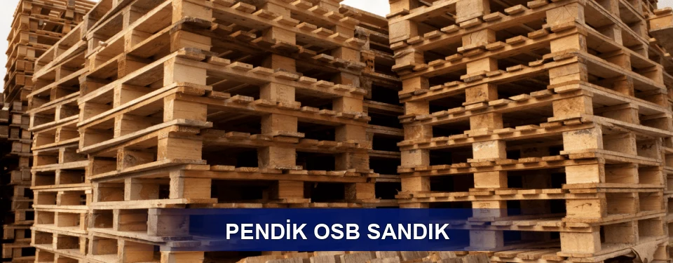 Pendik Ölçü Planı