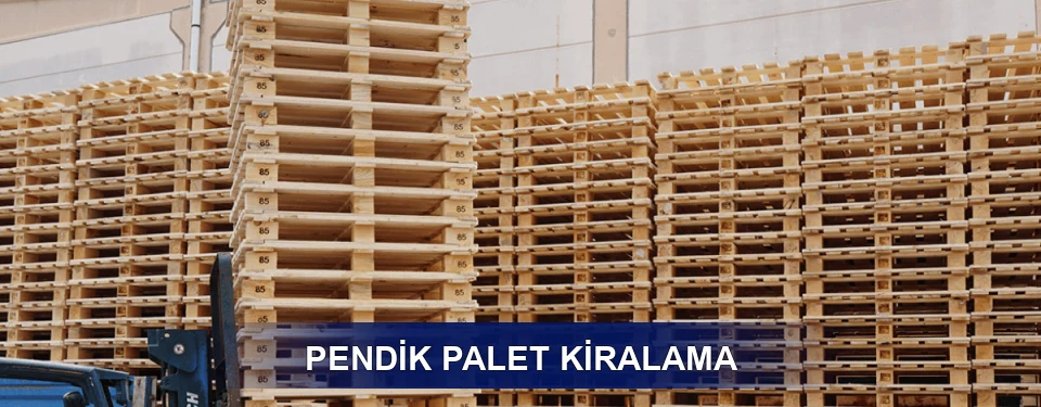 Pendik Uzun Dönem